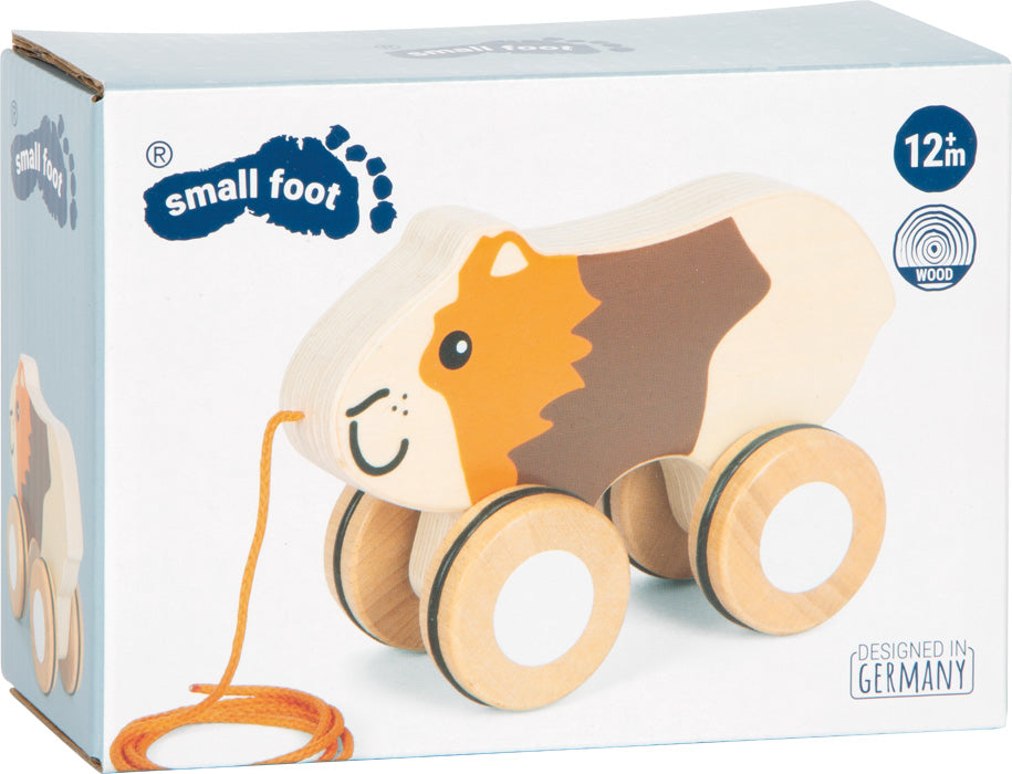 Meerschweinchen Ziehtier