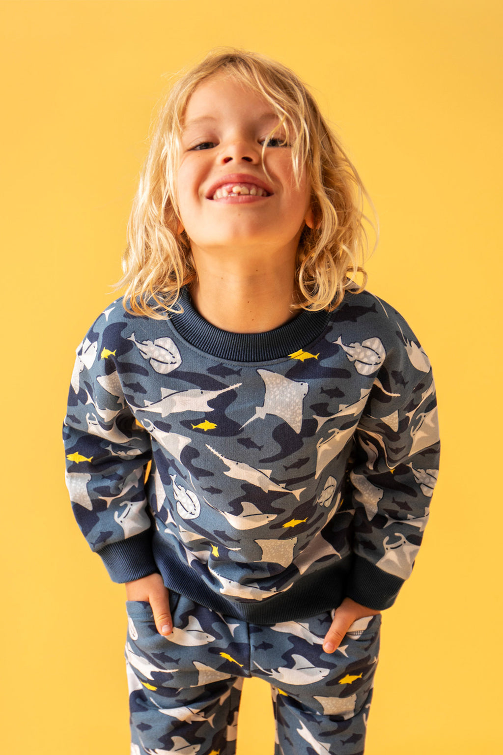 Pullover Stachelroche von Frugi