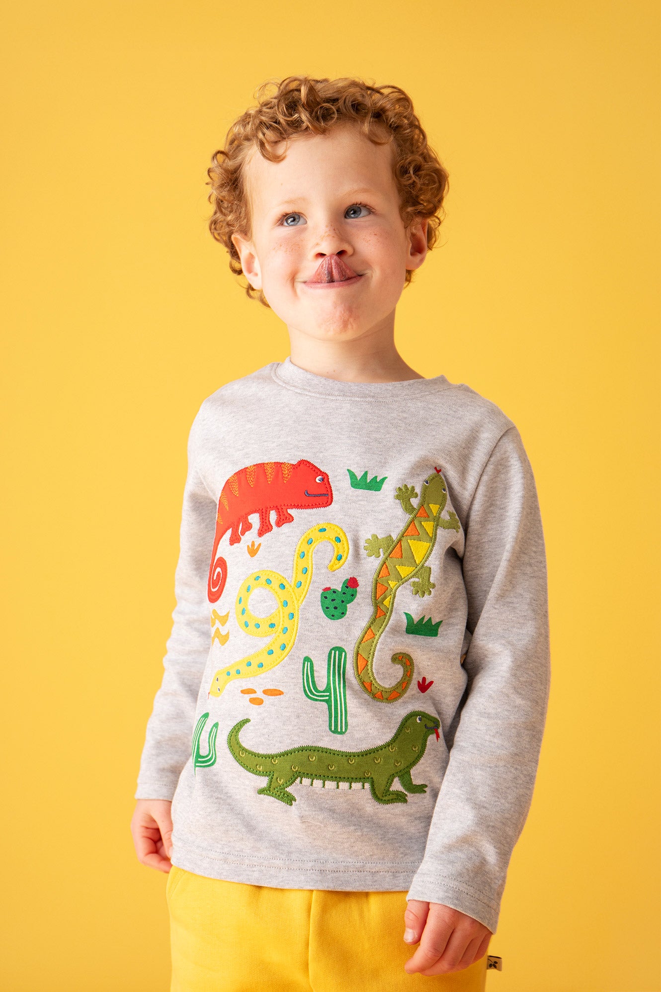 Shirt Schlange, Chamäleon etc.von Frugi