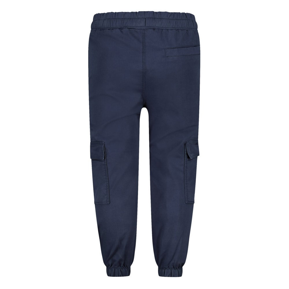 Cargohose von Sturdy