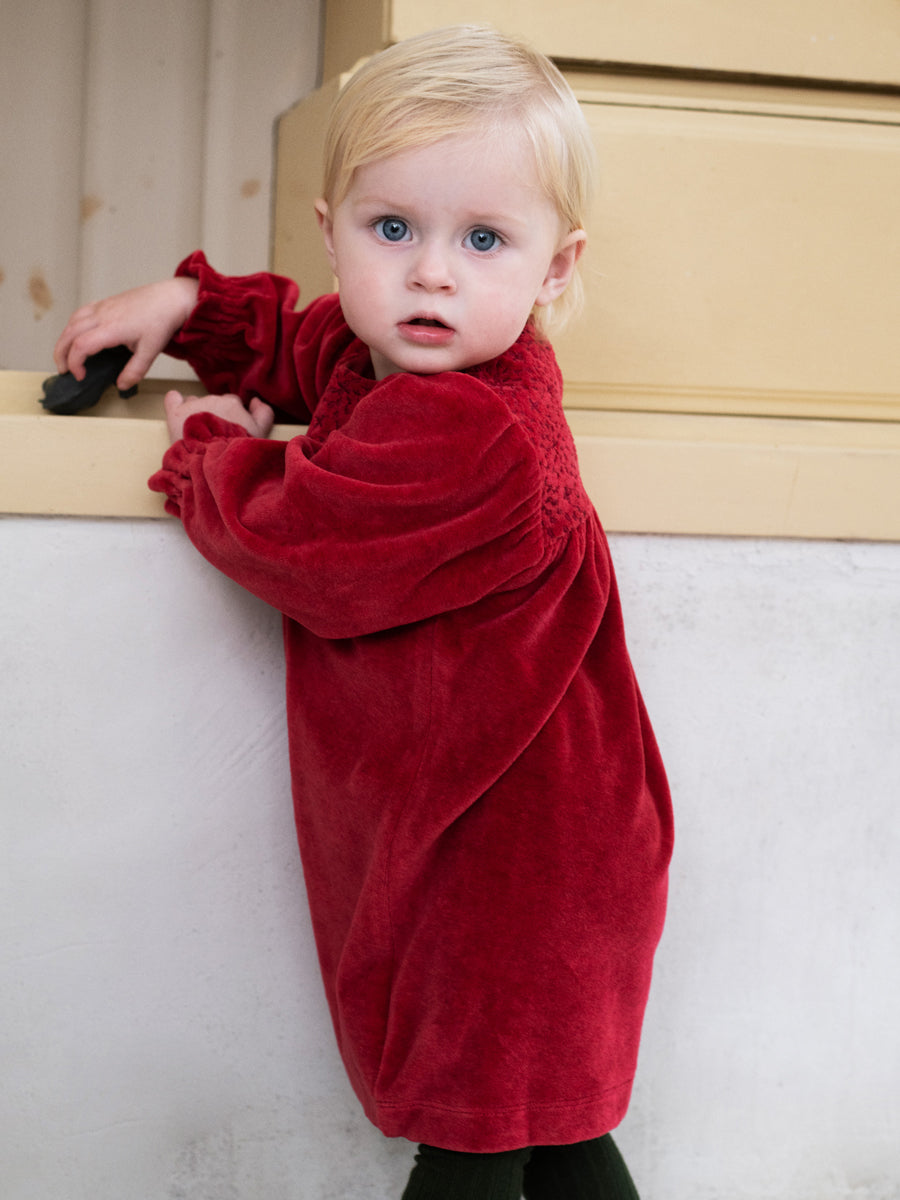 Velours Kleid von Serendipity organics