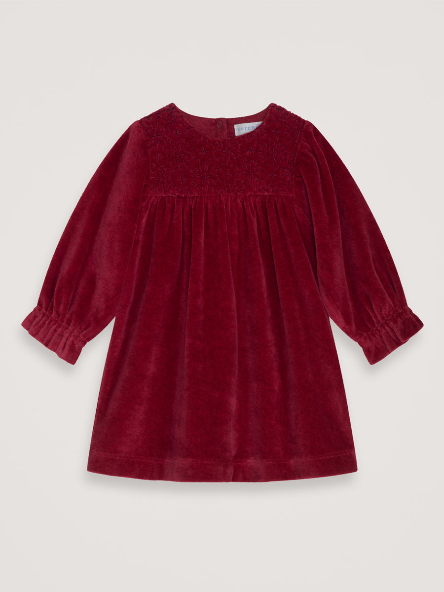 Velours Kleid von Serendipity organics