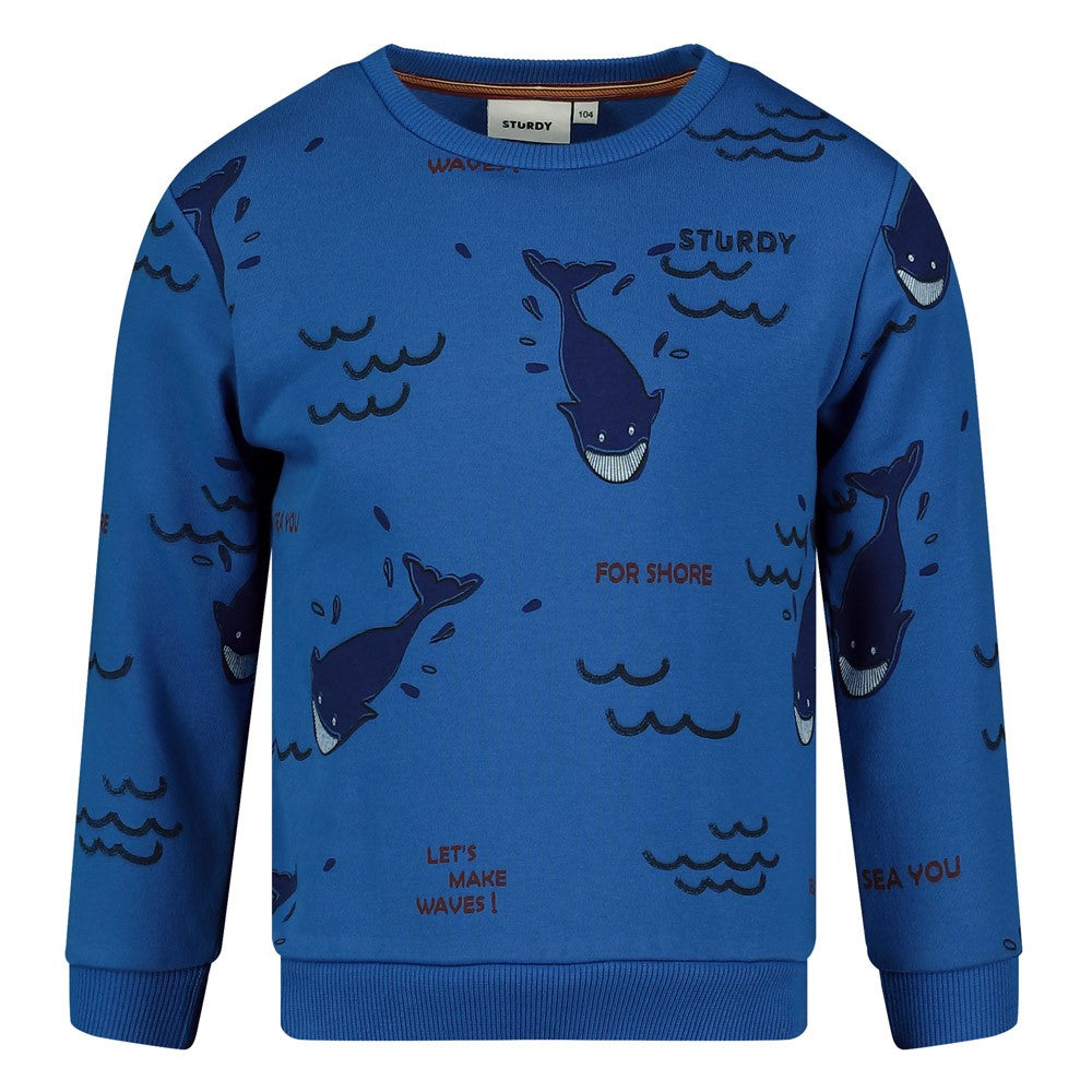 Pullover Wale von Sturdy