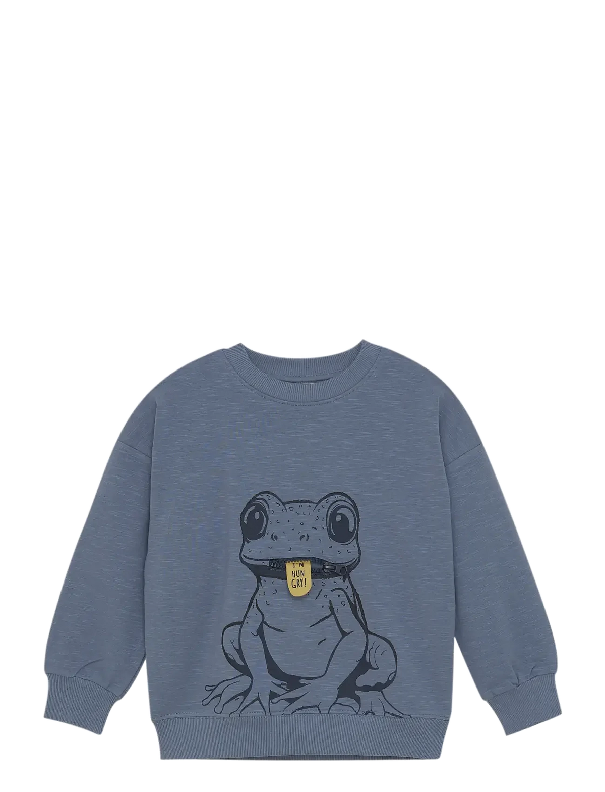Pullover Frosch von Minymo