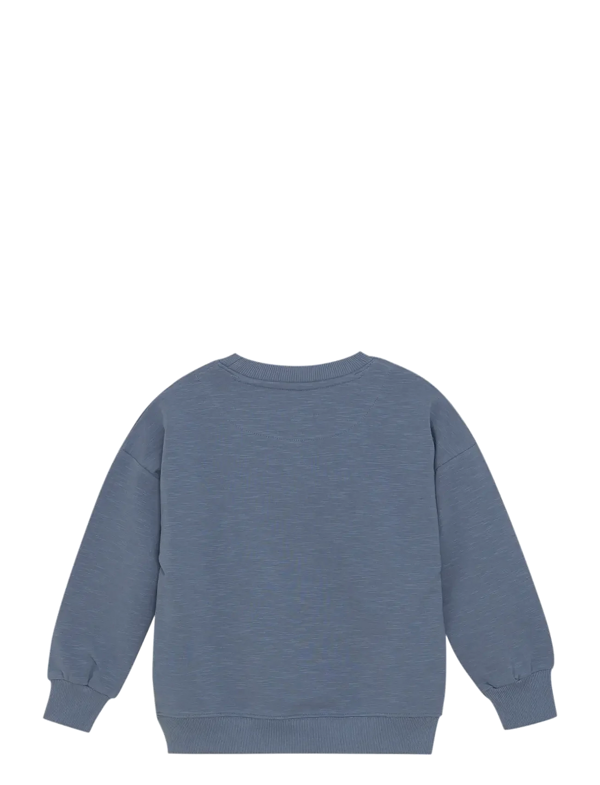 Pullover Frosch von Minymo