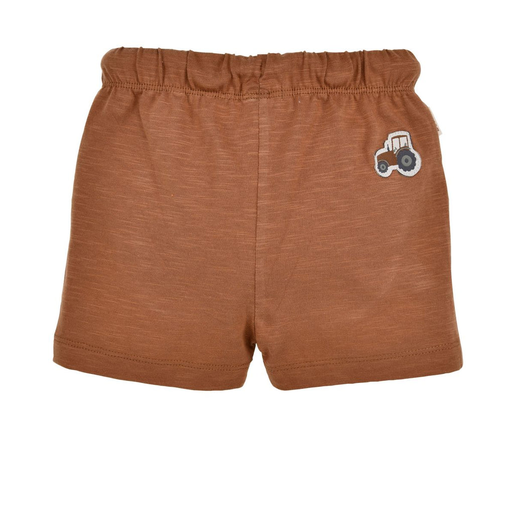 Braune Shorts von Bondi