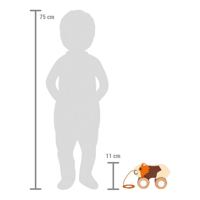 Meerschweinchen Ziehtier