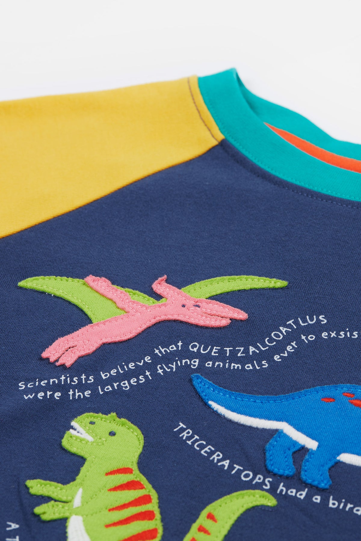 T-Shirt Dino von Frugi