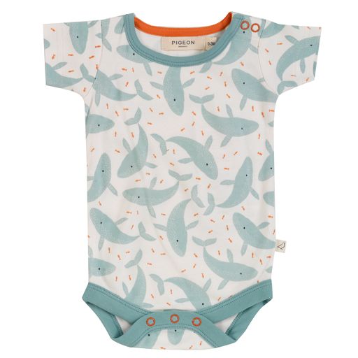 Sommerbody Wale( 6-12 Monate) von  Pigeon