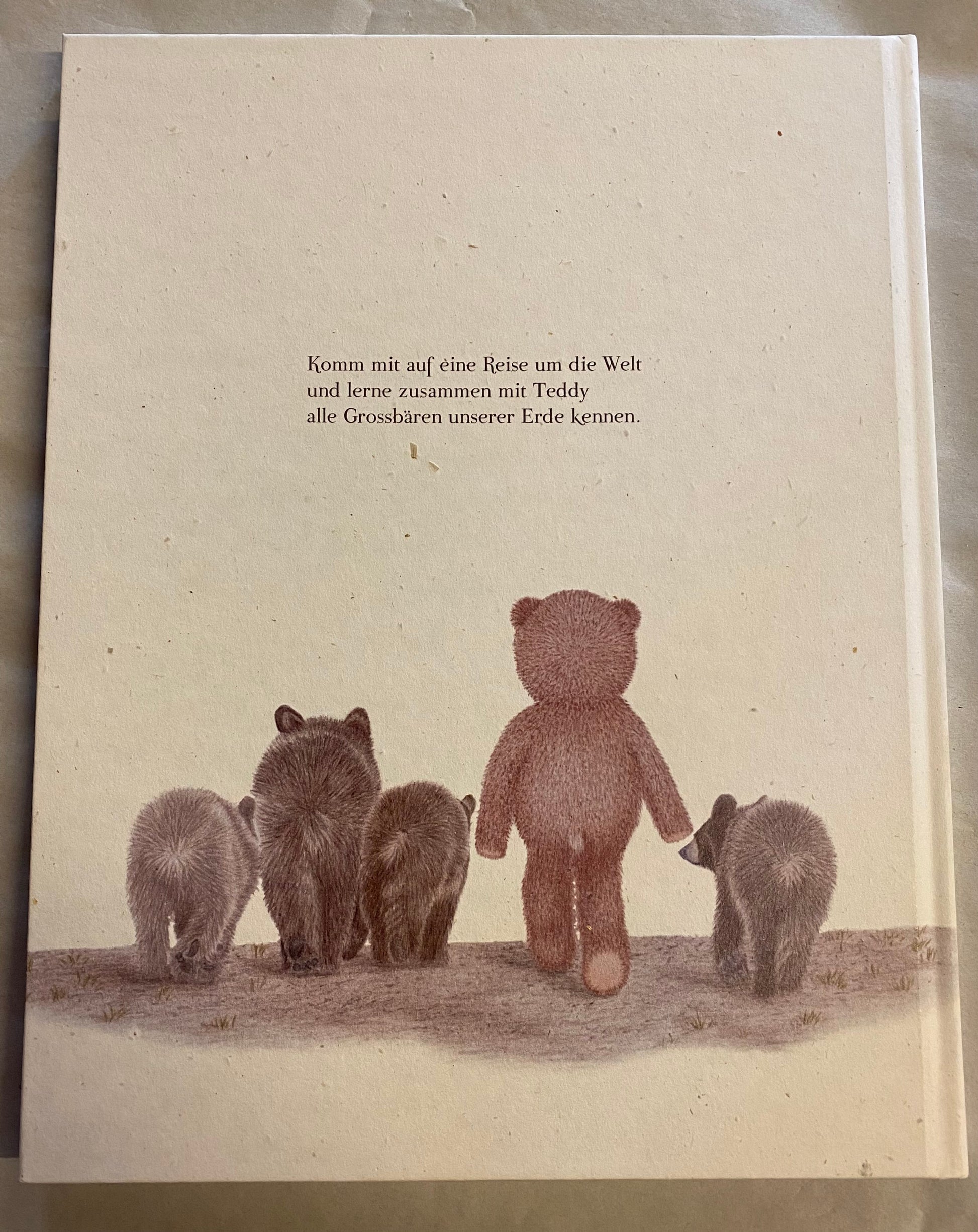 Kinderbuch "Teddy auf Entdeckung der Bären dieser Welt"