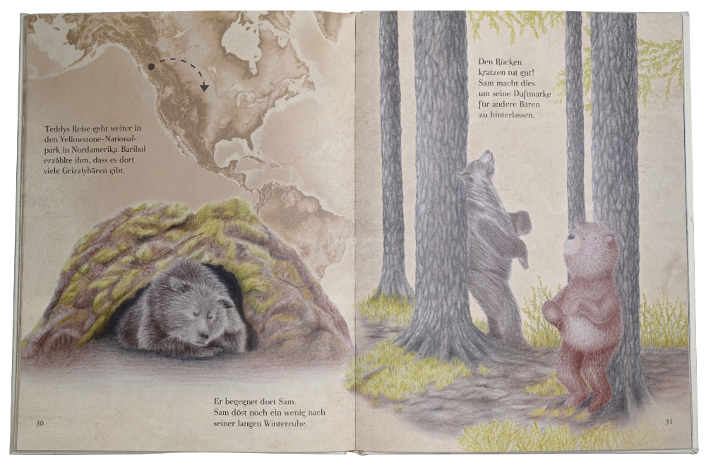 Kinderbuch "Teddy auf Entdeckung der Bären dieser Welt"