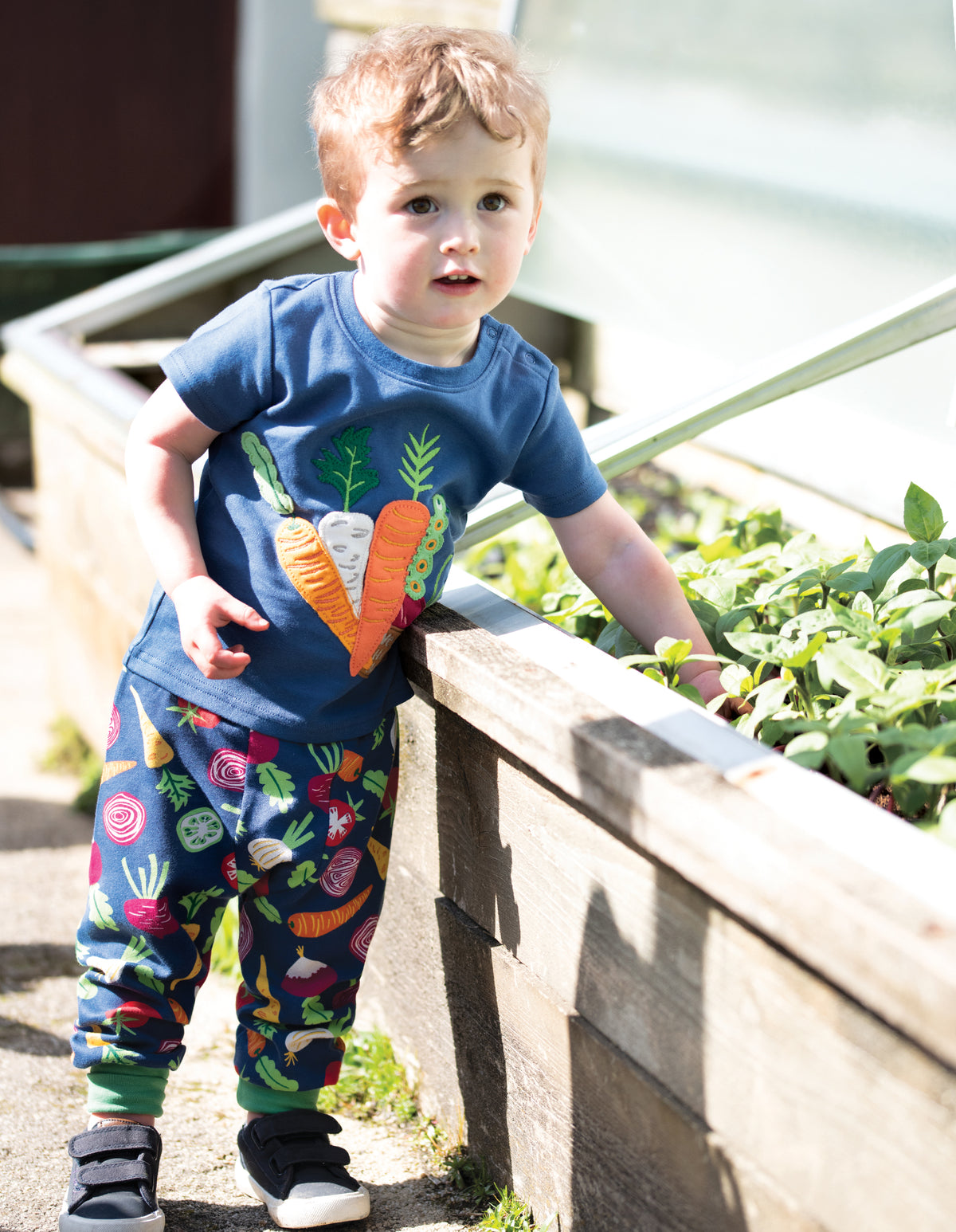 Kurzarmshirt mit Gemüse ( 0-3, 3-6 Monate ) Applikation von Frugi