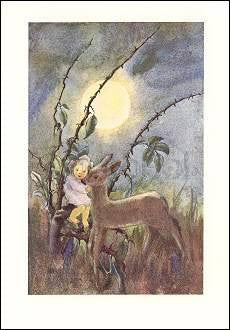 Rehlein, mein liebes Rehlein von Mili Weber