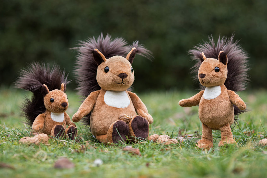 Eichhörnchen Luzy von Schaffer