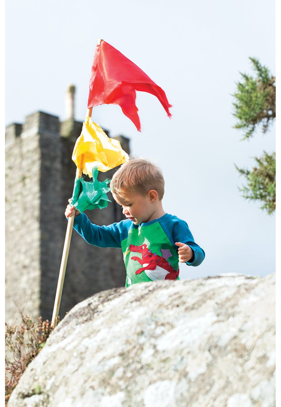 Shirt mit Drachen Motiv von Frugi