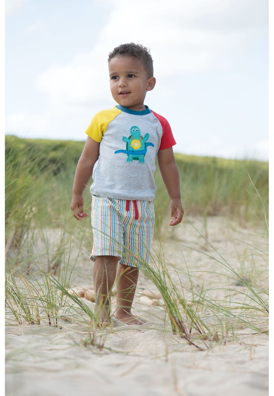 T-Shirt Schildkröte ( 6-12 Monate, 2-3 Jahre)  von Frugi