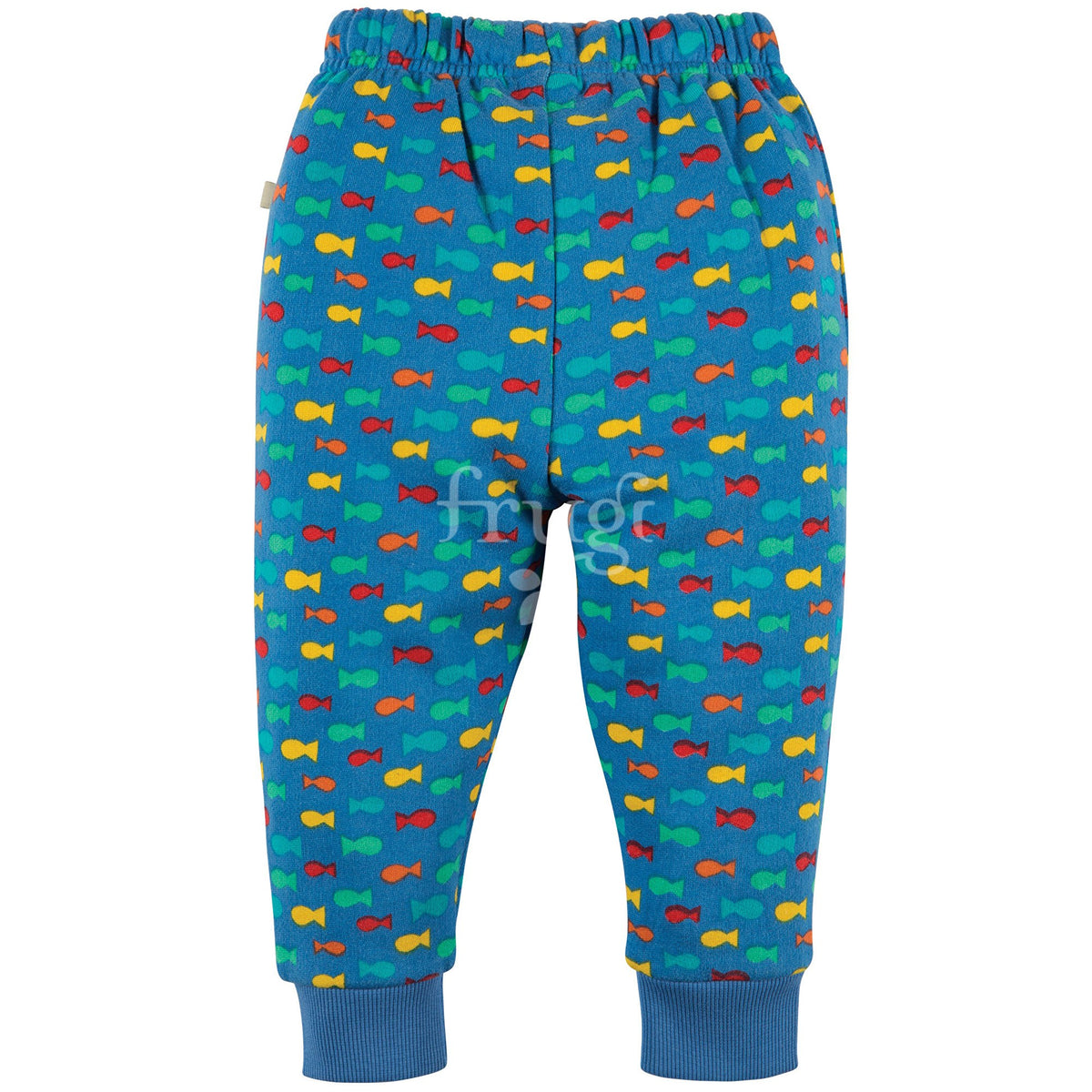 Hose Fische Frugi Indian Ocean